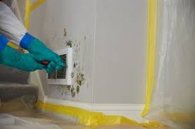 Mold clean up in Willow Grove, PA.