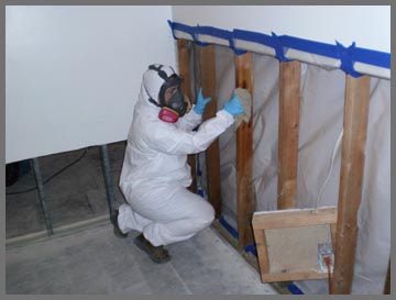 Mold removal in Bensalem PA