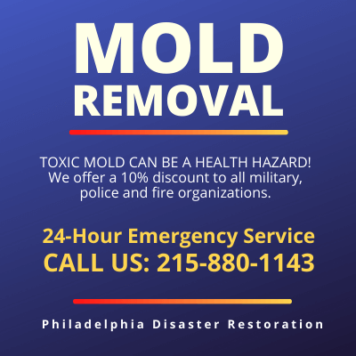Plymouth Meeting PA | Mold Removal | Mold Remediation | Mold Abatement | Black Toxic Mold | Mold Inspection