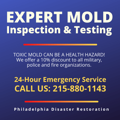 Fort Washington PA | Mold Testing | Mold Inspection | Mold Evaluation | Mold Assessment 