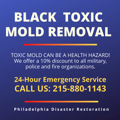 Plymouth Meeting PA | Black Toxic Mold Removal 
